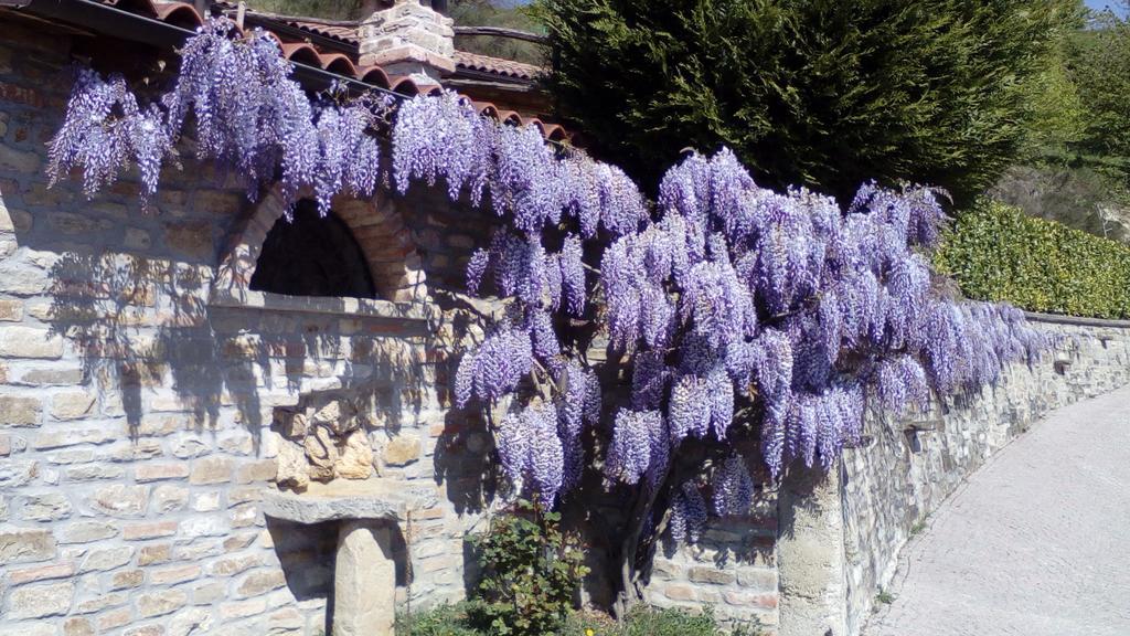 Penzion Trattoria Del Bivio Cerretto Langhe Exteriér fotografie